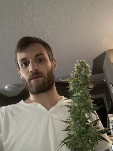 rollinintheweeds profile