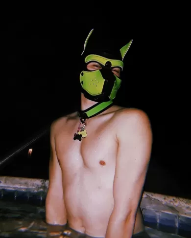 pup_chance profile