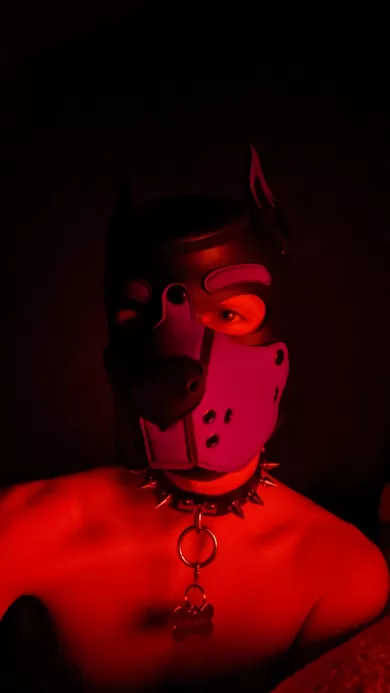 badboxerboy profile