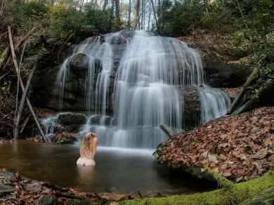 waterfallbutts profile