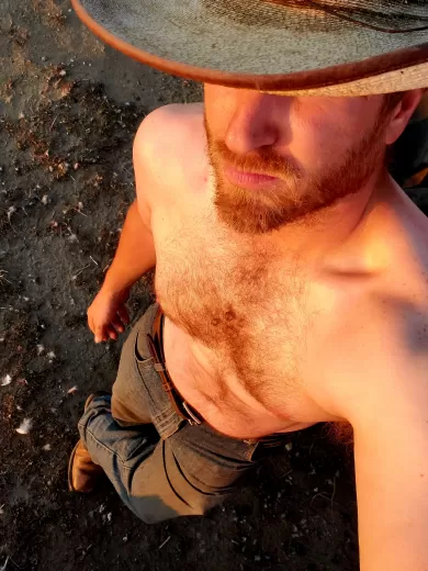 lukehansen profile