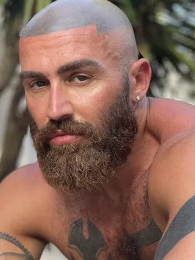 sagatfrancois profile